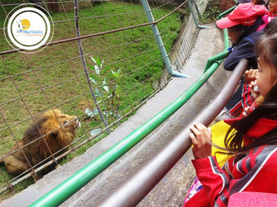 Tour zoológico Guayllabamba entrada