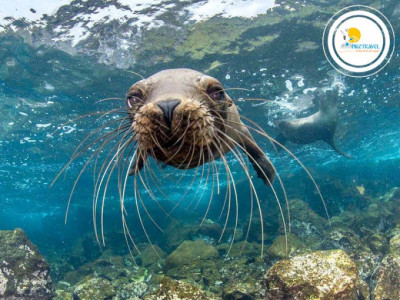 Tour a Galápagos para estudiantes