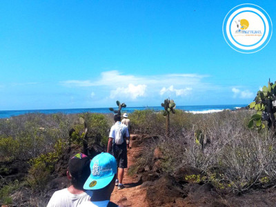 Promociones a Galápagos Santa Cruz