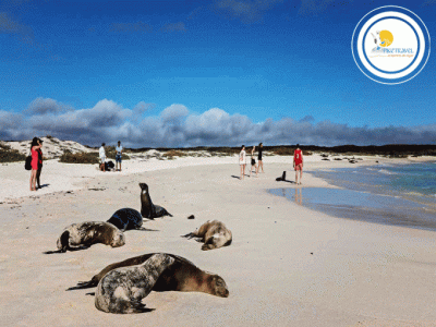 Disfruta de las Islas encantadas de Galápagos 